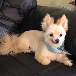 Meet your Posher, Christena